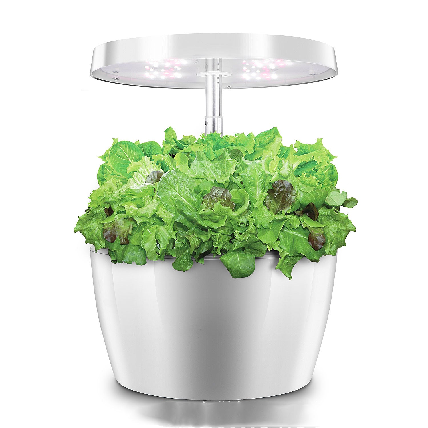 Hydroponic Plant Growth Machine with Smart LED Light