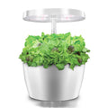 Hydroponic Plant Growth Machine with Smart LED Light