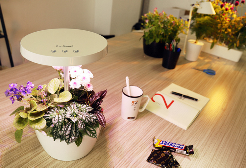 Hydroponic Plant Growth Machine with Smart LED Light